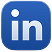 LinkedIn Professional Network Icon